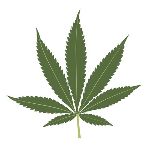 Cannabis Leaf Silhouette Icon Isolated On White Background Vector