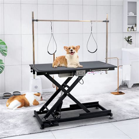 Soarflash Electric Lift Pet Dog Grooming Table ưith Overhead Arm Wayfair