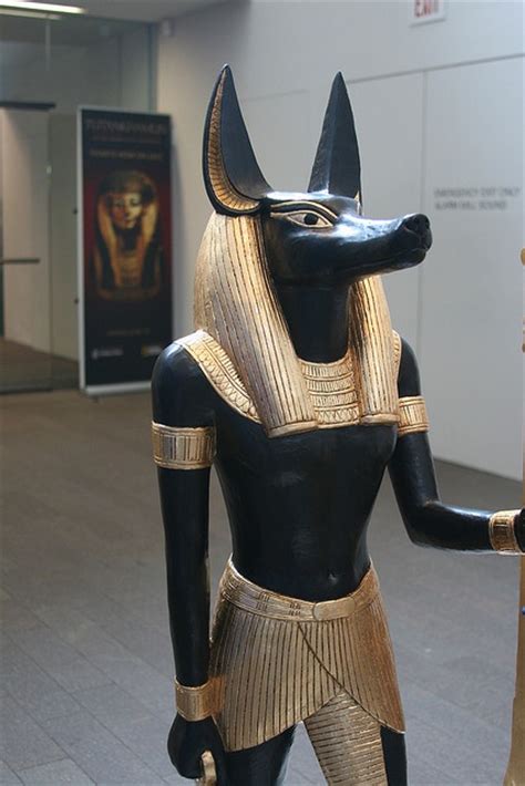 Statue Of Anubis From King Tuts Tomb Ancient Egypt Pinterest