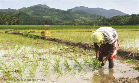 You don't pay it back. Senate approves 4Ps rice subsidy program on 2nd reading
