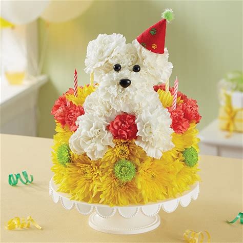 Save up to 50% off birthday flowers & gifts! 1-800-Flowers® Birthday Wishes Flower Cake™ Pupcake™ | San ...