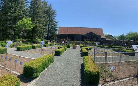 Die teilnahme daran ist kostenlos. Botanischer Garten Bayreuth : Okologisch Botanischer ...