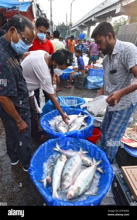 Dhaka 20th Sep 2020 People Select Hilsa Fish At A Market In Dhaka