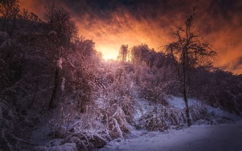 Tapeta na monitor Zima sníh stromy nebe mraky západ slunce
