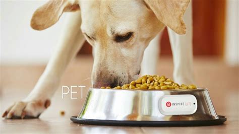 About SMARTLIFE Products - YouTube