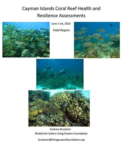 Cayman Islands Coral Reef Health And Resilience Assessments By Kslofliving Oceans Foundation