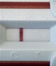 Sobald die periode fällig wird, man frühe schwangerschaftsanzeichen wahrnimmt oder eine maßnahme zur verhütung missglückt ist, kann man über einen schwangerschaftstest testen, ob man schwanger ist. 42 HQ Pictures Ab Wann Frühschwangerschaftstest - Ab Wann ...