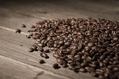 Fresh Roasted Coffee Beans Stock Image Image Of Fresh 63120335