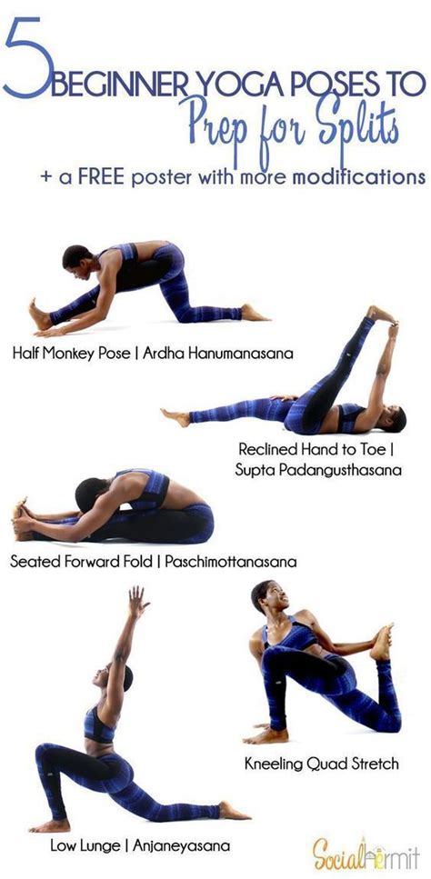 Downdog Yoga Poses For Fun Easy Yoga Workouts Yoga For Beginners