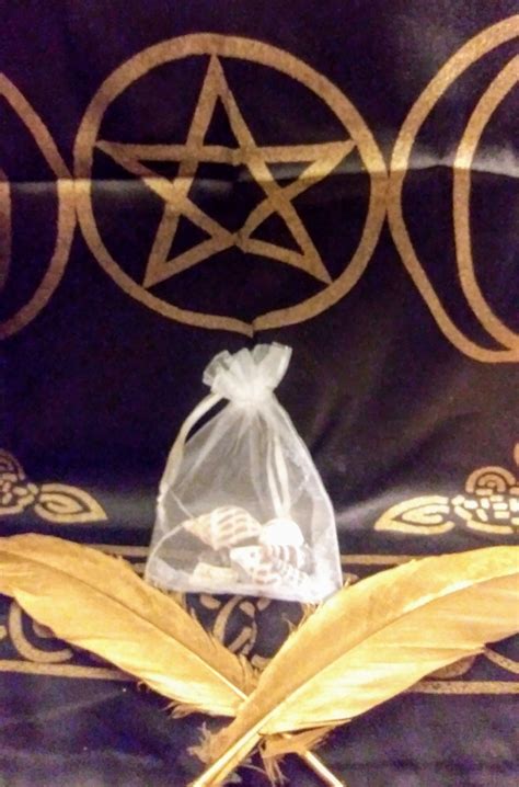Free Magickal Lucky Seashell Mojo Bag Just Pay Shipping Blaccemporium