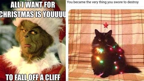 See more ideas about cat memes, funny cats, funny animals. Christmas 2018: These Funny Viral Xmas Memes Will Make You ...
