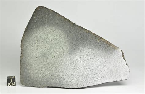 Nwa 12806 101g Ureilite Full Polished Slice Diamond Rich Collecting
