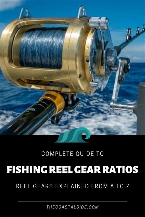 Fishing Reel Gear Ratios Explained Fishing Reels Saltwater Fishing