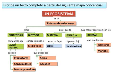 Elabora Un Mapa Conceptual Del Ecosistema Terrestre Simple Mapa
