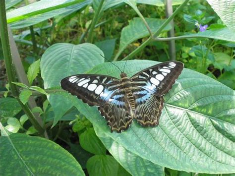 Maybe you would like to learn more about one of these? Botanischer Garten (Innsbruck) - Aktuelle 2020 - Lohnt es ...