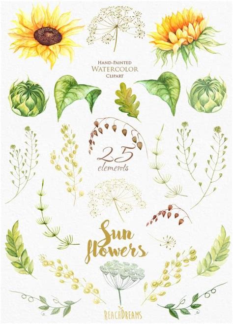 Sunflower Watercolor Flower Clipart Separate Elements Hand Etsy