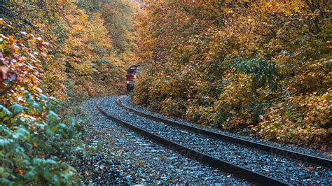 Autumn Train Tracks Del Colaborador De Stocksy Reese Lassman Stocksy