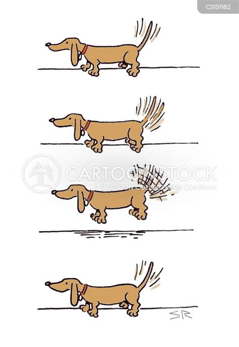 Wagging Tail Cartoons And Comics Funny Pictures From Cartoonstock