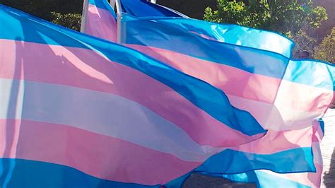 For Trans Day Of Visibility 38 Transgender People Sound Off On