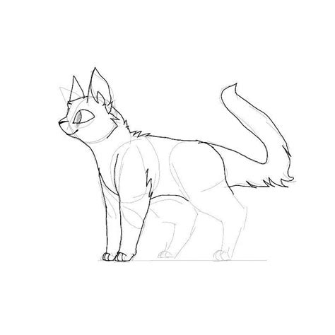 Step By Step Standing Cat Tutorialprocess Of How I Draw Warriors Amino