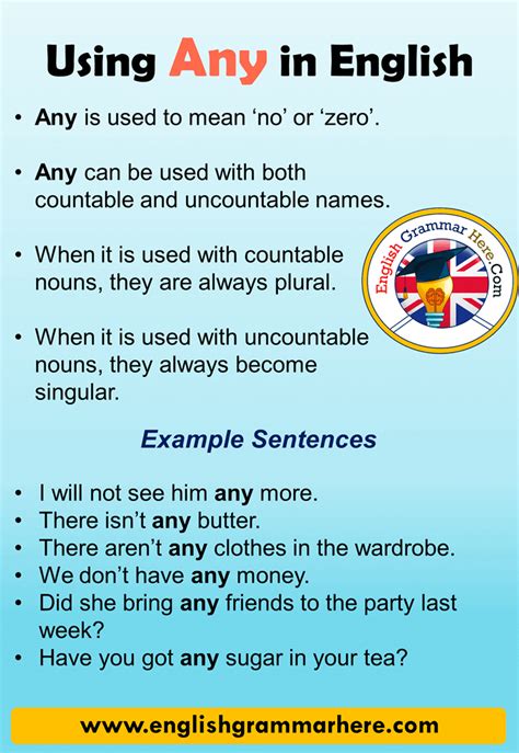 Using Any And Example Sentences In English English Grammar Here