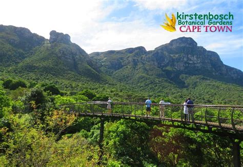 A Visit To Kirstenbosch Botanical Gardens Cape Town