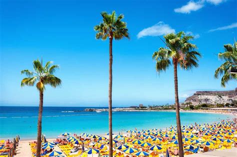 Goedkope Vakantie Gran Canaria Aanbiedingen Vakantiedealz
