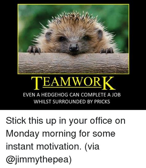 Don't forget to share your favorite good job meme with everyone that would be great meme generator the fastest meme generator on the planet. In TEAMWORK EVEN a HEDGEHOG CAN COMPLETE a JOB WHILST ...