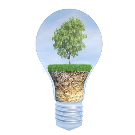 Bulb Light With Tree Inside On White Background Stock Illustration
