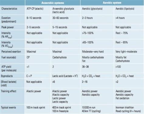 Difference Between Aerobic And Anaerobic Glycolysis Difference Between