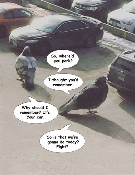Pigeons Meme By Geraltofrivia1234 Memedroid