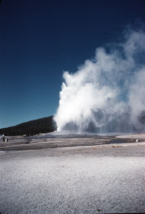 Old Faithful Geyser For A Description Of Old Faithful Ple Flickr