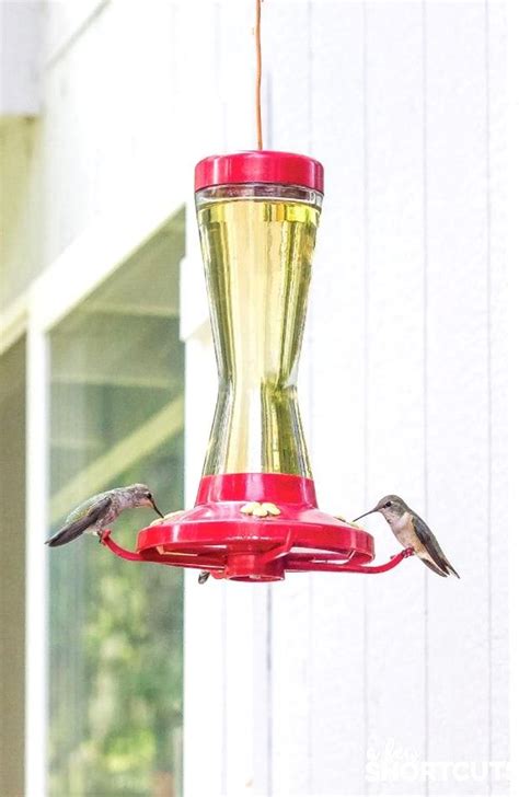 People must have tried to make hummingbird food from all kinds of other substances, as audubon's. Fill your yard with cute hummingbirds Learn How to Make ...