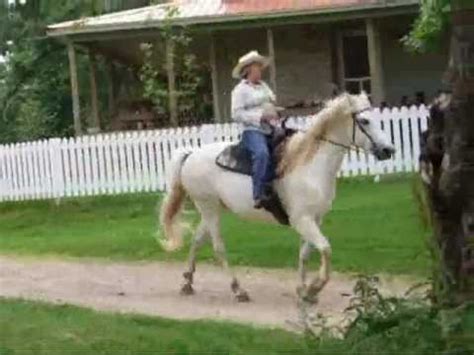 Cabins in missouri on the meramec river. Missouri Fox Trotter Gait - Meramec Farm Cabins and Gaited ...
