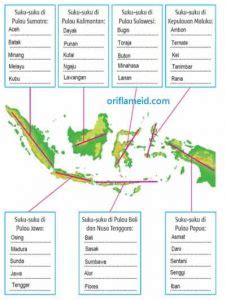 Suku Suku Di Pulau Sumatera Kalimantan Sulawesi Jawa Bali Dan Papua