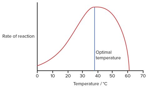 Low temperatures reduce the rate of chemical reactions in general. Enzyme Kinetics | Concise Medical Knowledge