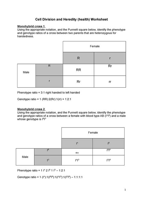 Cell Division And Heredity Worksheet Cell Division And Heredity