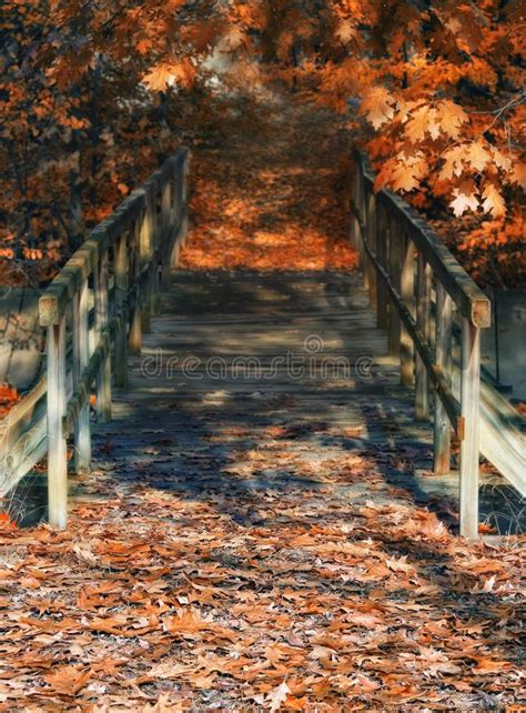 Wood Bridge In Autumn Colors And Dreamy Atmosphere Stock Image Image