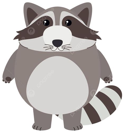 cute raccoon on white background cute drawing clipping vector cute drawing clipping png and
