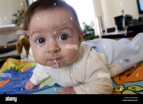 6 Months Old Baby Drooling Stock Photo Alamy
