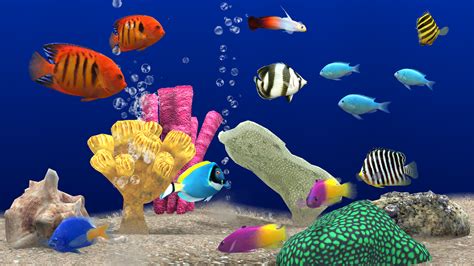 3d Aquarium Wallpaper 52 Images