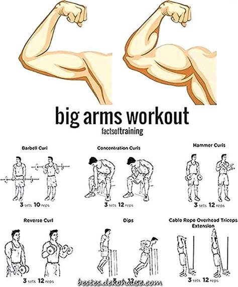 18 Arm Exercises With Weights For Men Gym Gymabsworkout