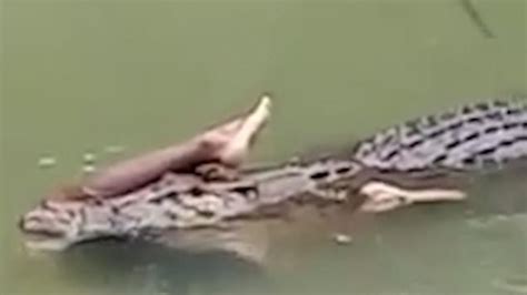 Crocodile Eats Man