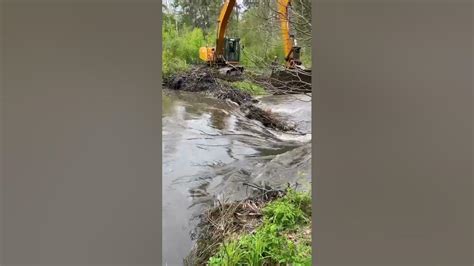 Beaver Dam Removal With 22 Tons Excavator Youtube