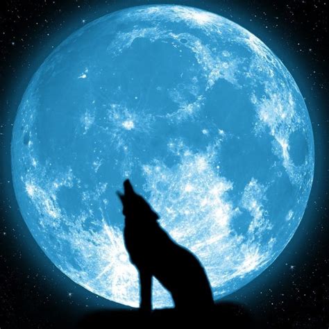 10 Best Wolf Howling At The Moon Wallpaper Full Hd 1080p
