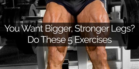 You Want Bigger Stronger Legs Do These 5 Exercises