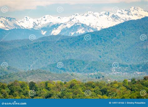 Thick Forest In A Green Valley Snow Capped Mountains Visible On The