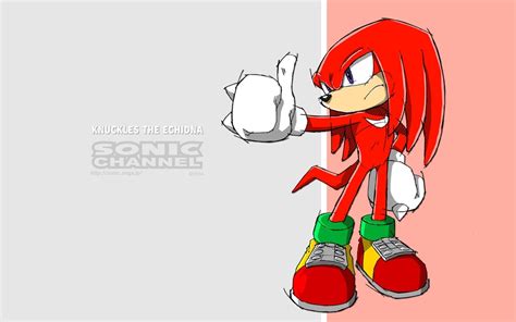 10 Most Popular Knuckles The Echidna Background Full Hd