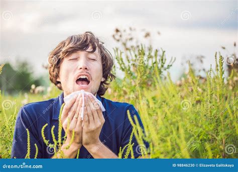 Young Man Sneezes Because Of An Allergy To Ragweed Stock Photo Image