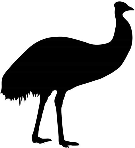 Emu Icon Stock Vectors Istock
